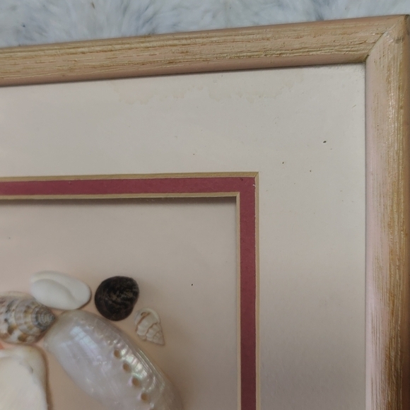 Vintage 2 Real Seashell Shadow Boxes Wooden Framed Wall Coastal Beach Art - Picture 9 of 9